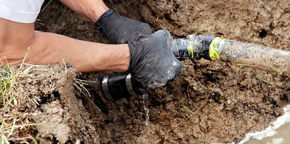 plumber fixing the pipes